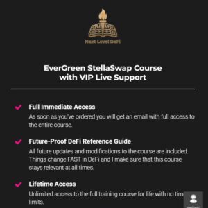 vadim voss stellaswap course